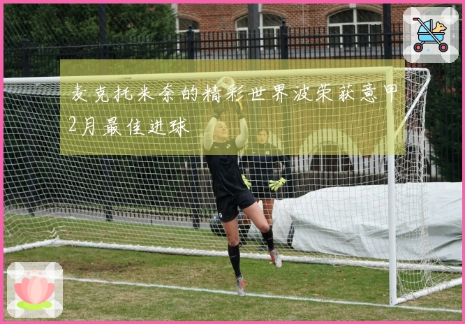 麦克托米奈的精彩世界波荣获意甲2月最佳进球