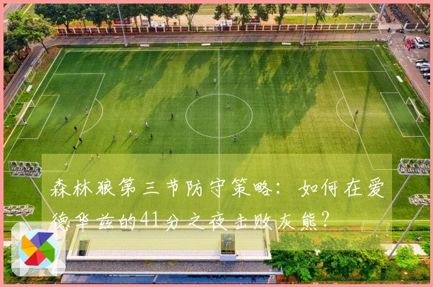 森林狼第三节防守策略：如何在爱德华兹的41分之夜击败灰熊？