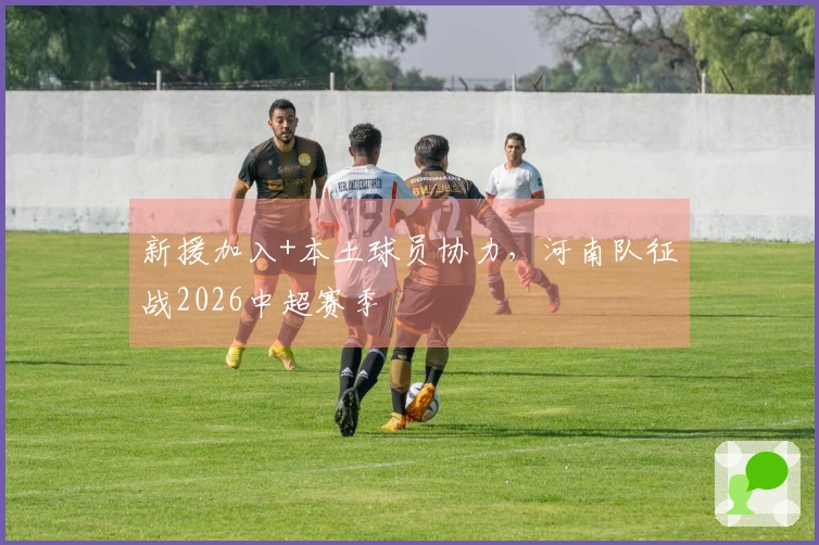 新援加入+本土球员协力，河南队征战2026中超赛季