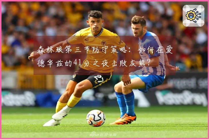 森林狼第三节防守策略：如何在爱德华兹的41分之夜击败灰熊？